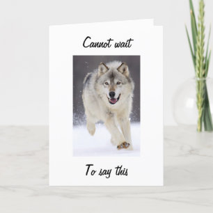 WOOLFISHLY FABULOUS AT "40" WOLF GREETING CARD
