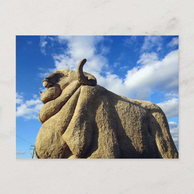 woollen merino blue postcard (Front)