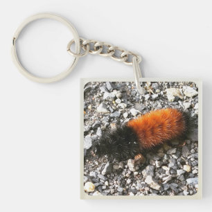 Woolly Bear Caterpillar Key Ring