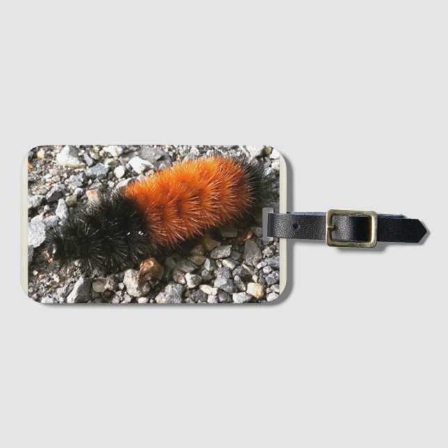 Woolly Bear Caterpillar Luggage Tag (Front Horizontal)