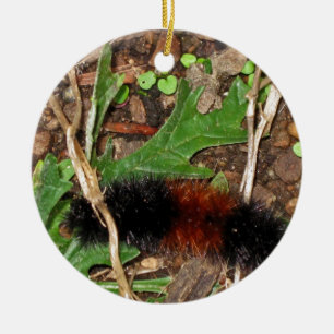 Woolly Bear Caterpillar - photograph Ceramic Tree Decoration