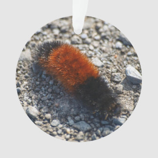 Woolly Bear Ornament