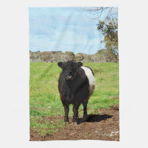 Woolly Black And White Galloway Cow, Tea Towel