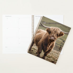 Woolly Brown Highland Cow, Planner