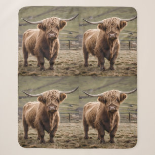 Woolly Brown Highland Cow, Sherpa Blanket
