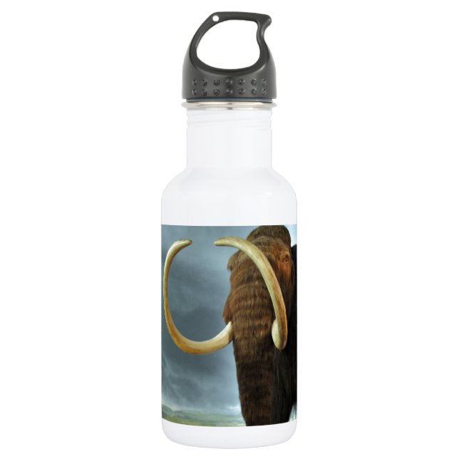 Woolly Mammoth Mod Destiny 532 Ml Water Bottle (Front)