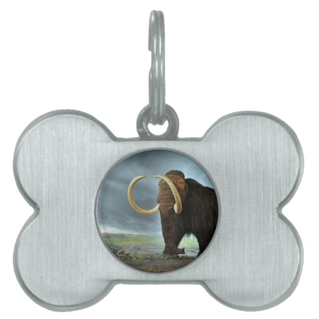 Woolly Mammoth Mod Destiny Pet Name Tag (Front)
