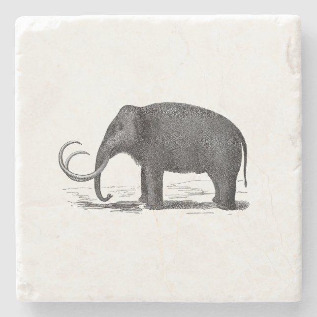 Woolly Mammoth Pre-Historic Elephant Stone Coaster (Front)