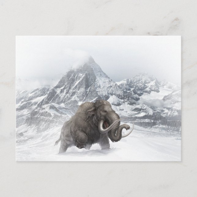Woolly Mammoth Prehistoric Animal ice age  Postcard (Front)
