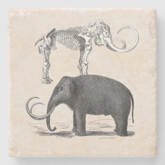 Woolly Mammoth Prehistoric Elephant and Skeleton Stone Coaster