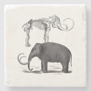 Woolly Mammoth Prehistoric Elephant and Skeleton Stone Coaster