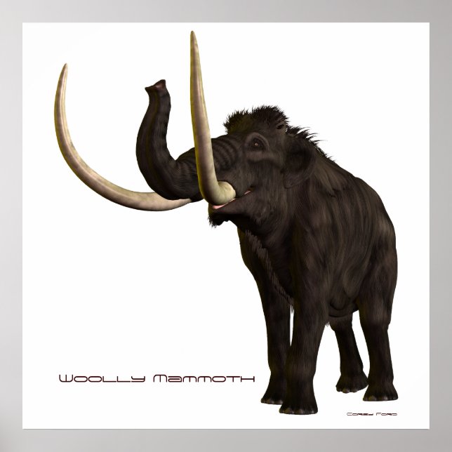 Woolly Mammoth Print (Front)