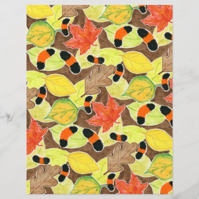 Woollybear Caterpillar (Front)