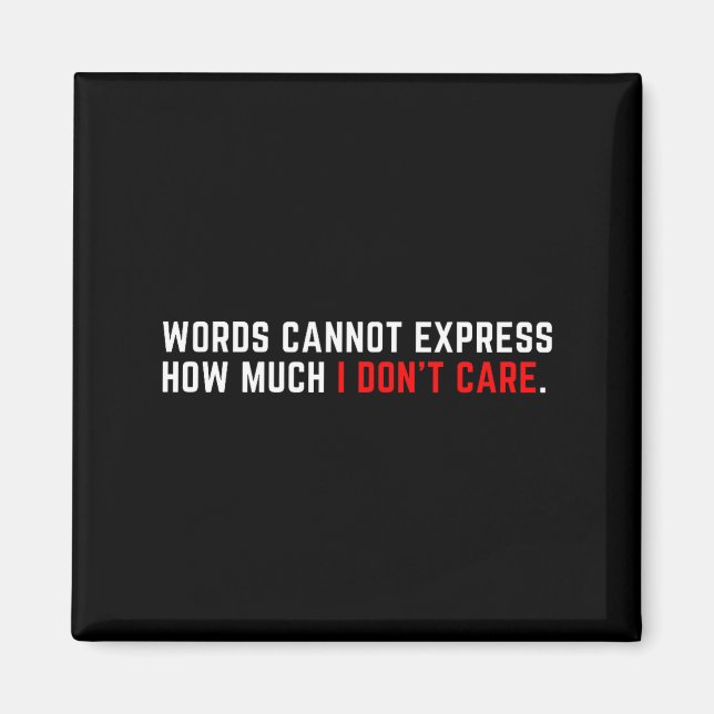 Words Cannot Express How Much I Don't Care  Magnet (Front)