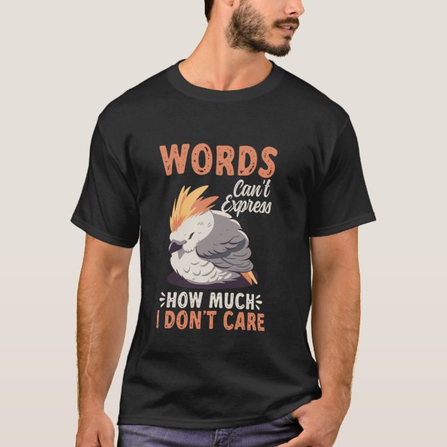 Words Can't Express How Much I Don't Care Sarcasti T-Shirt (Front)