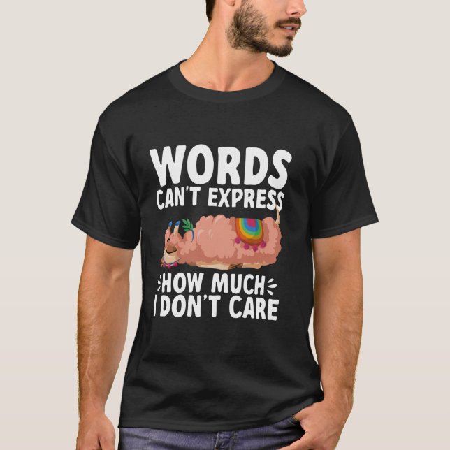 Words Can't Express How Much I Don't Care Sarcasti T-Shirt (Front)