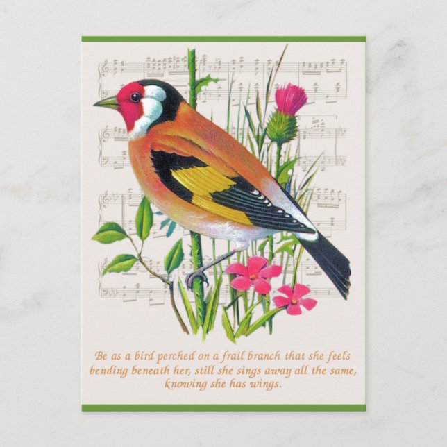 Words of Encouragement Postcard (Front)