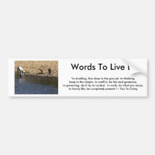 Words To Live By - Tao Te Ching Guilin Woman jGibn Bumper Sticker