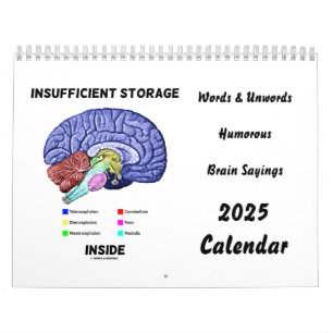 Words & Unwords Brain Humour Sayings 2025 Calendar