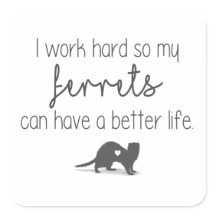 Work Hard for my Ferrets