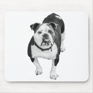 Workday Warmth, Bulldog Desk Pad Mouse Mat