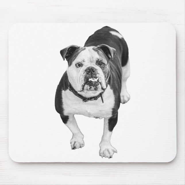 Workday Warmth, Bulldog Desk Pad Mouse Mat (Front)