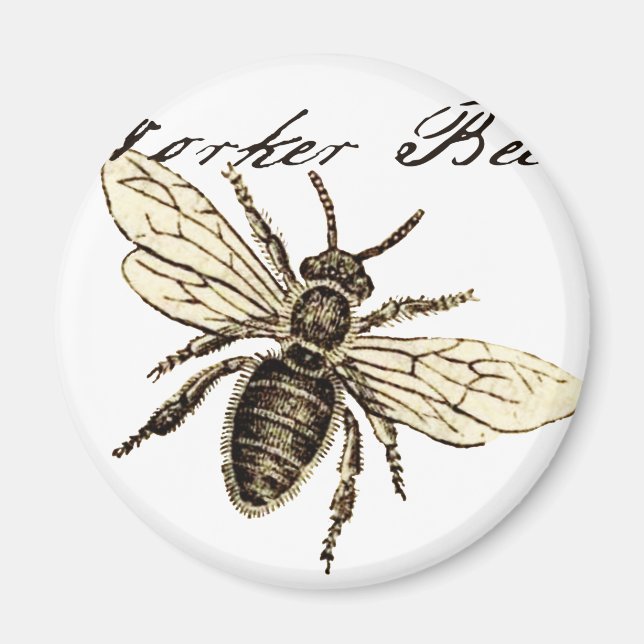 Worker Bee Insect Illustration Magnet (Front)