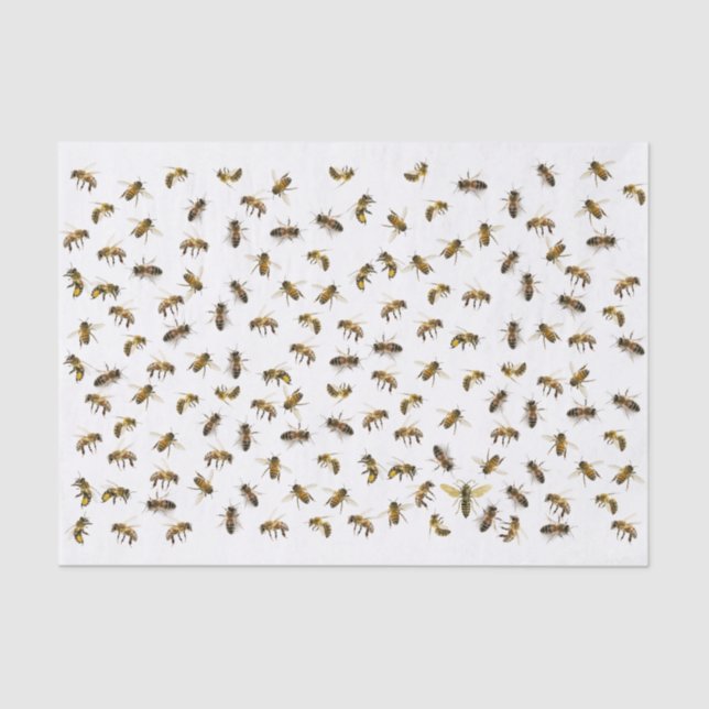 Worker Bees and Queen Apiary Wrap and Decoupage    Tissue Paper (Front)