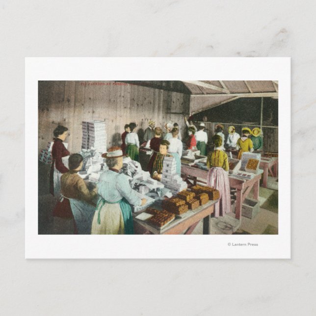 Workers Packing GoodiesFresno, CA Postcard (Front)