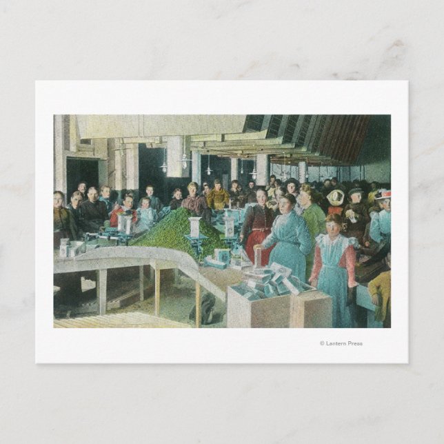 Workers Packing Seeded Raisins at Plant Postcard (Front)