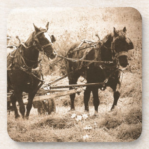 Working Amish Horses Sepia Coaster