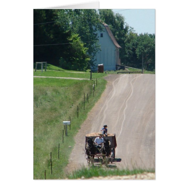 Working Amish Pinto Draughts On the Road in Kalona (Front)