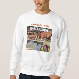 Working Australian Shepherds agility disc Sweatshirt