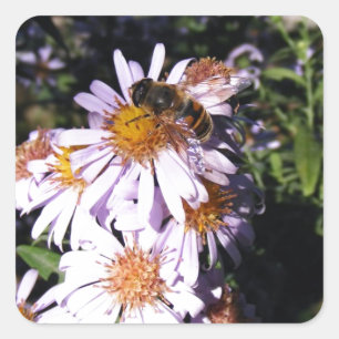 Working Bee Daisies Square Sticker