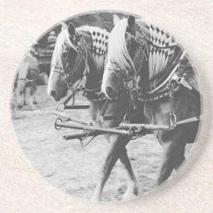Working Draught Horses in Black and White Coaster