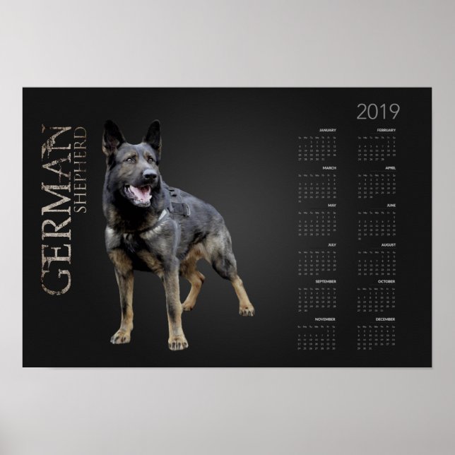 Working German Shepherd Dog  - GSD Calendar 2019 Poster (Front)