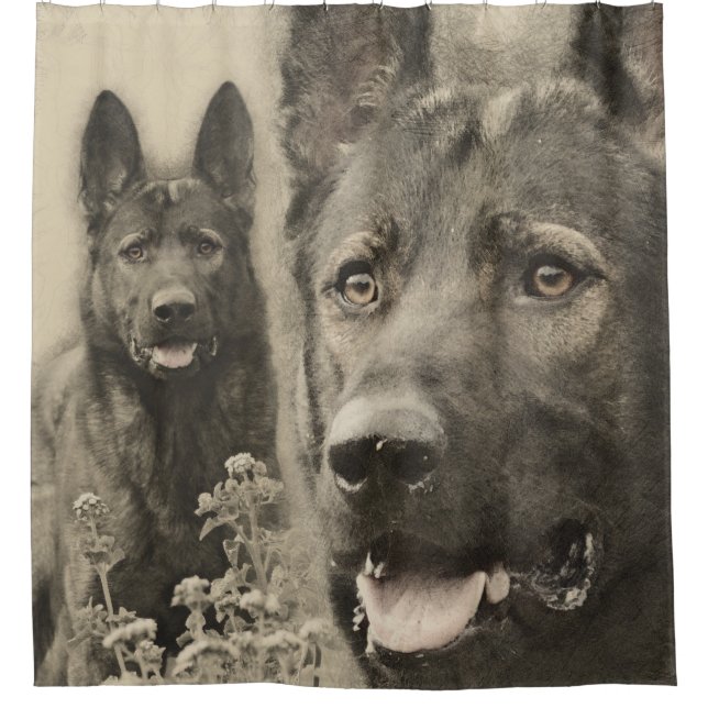 Working German Shepherd Dog  - GSD Shower Curtain (Front)