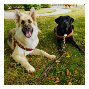 Working  girls   poster