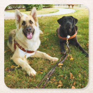 Working girls square paper coaster