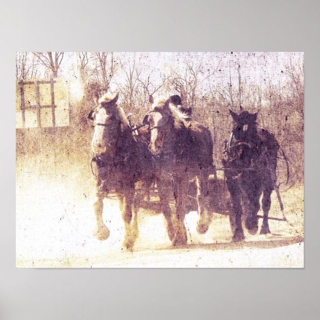 Working Horses Poster (Front)