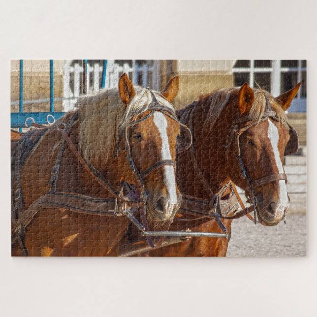 working horses puzzle (Horizontal)