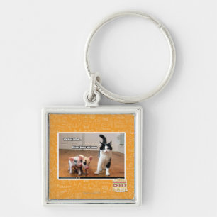 Working kitteh key ring