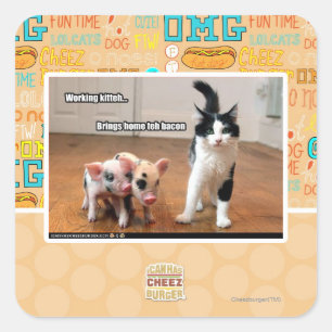 Working kitteh square sticker