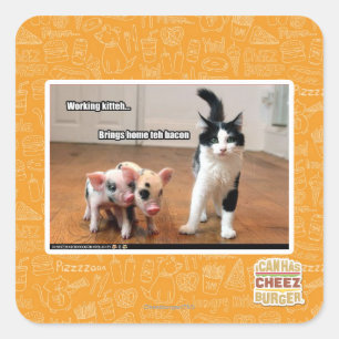 Working kitteh square sticker