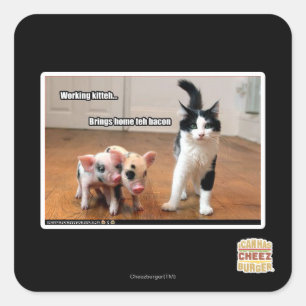 Working kitteh square sticker
