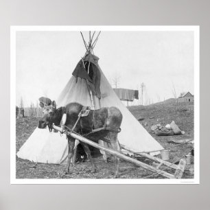 Working Moose Teepee 1916 Poster
