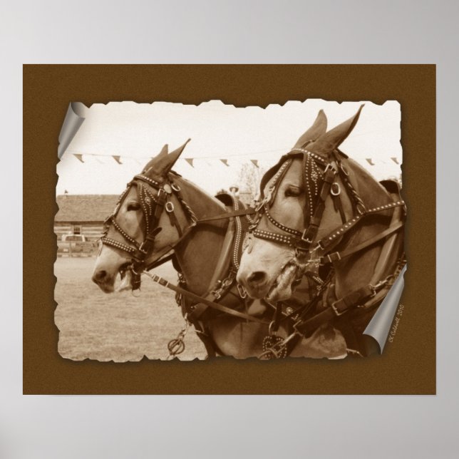 Working Poster (Front)