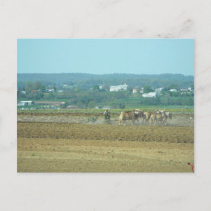 ~ Working the Fields 4 ~ Postcard