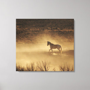 Working Up the Ranks Canvas Print