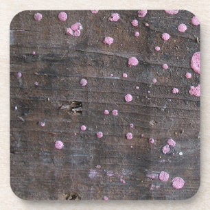 Working Wood 4A Coaster